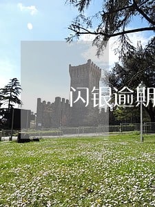 闪银逾期了只还本金可以么 闪银逾期了只还本金可以么