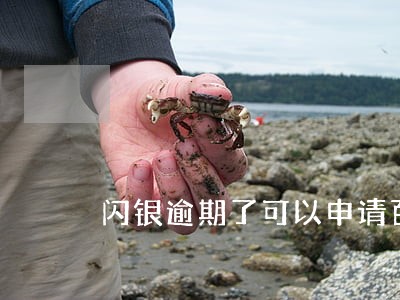 闪银逾期了可以申请百万钱包
