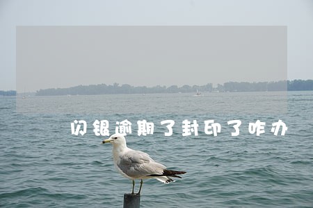闪银逾期了封印了咋办 闪银逾期了封印了咋办