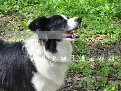 闪银逾期了没上征信 闪银逾期了没上征信