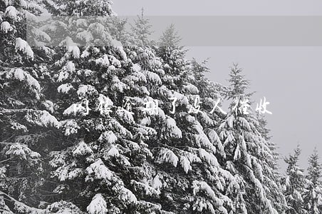闪银逾期了没人催收 闪银逾期了没人催收