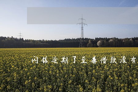 闪银逾期了至尊借款没有了 闪银逾期了至尊借款没有了