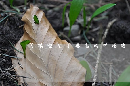 闪银逾期了要怎么样还钱 闪银逾期了要怎么样还钱