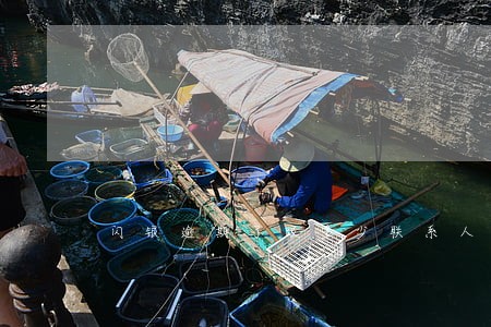 闪银逾期了跟多少联系人发短信 闪银逾期了跟多少联系人发短信
