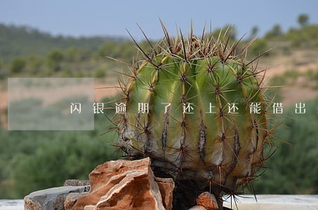 闪银逾期了还上还能借出来吗 闪银逾期了还上还能借出来吗