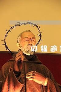 闪银逾期了还了本金 闪银逾期了还了本金