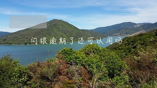 闪银逾期了还可以用吗 闪银逾期了还可以用吗
