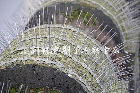 闪银逾期了还能借么 闪银逾期了还能借么