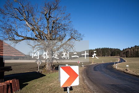 闪银逾期二十天 闪银逾期二十天