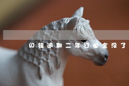 闪银逾期二年订单全没了 闪银逾期二年订单全没了