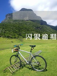 闪银逾期二百多天 闪银逾期二百多天