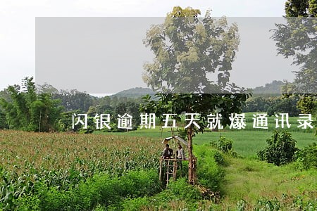 闪银逾期五天就爆通讯录 闪银逾期五天就爆通讯录