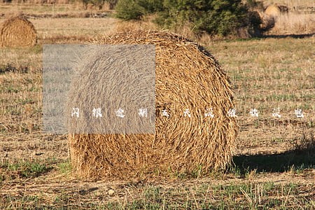 闪银逾期五天没催收没电话 闪银逾期五天没催收没电话