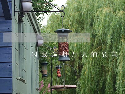 闪银逾期五天的危害 闪银逾期五天的危害