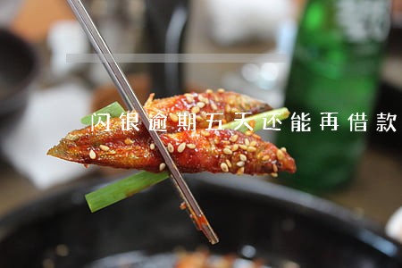 闪银逾期五天还能再借款吗 闪银逾期五天还能再借款吗