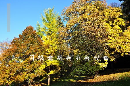 闪银逾期会不会代偿 闪银逾期会不会代偿