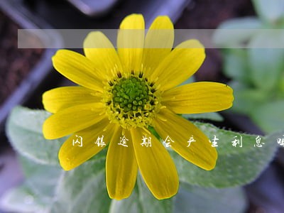闪银逾期会产生利息吗 闪银逾期会产生利息吗