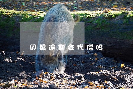 闪银逾期会代偿吗 闪银逾期会代偿吗