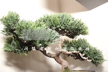 闪银逾期会发短信吗 闪银逾期会发短信吗