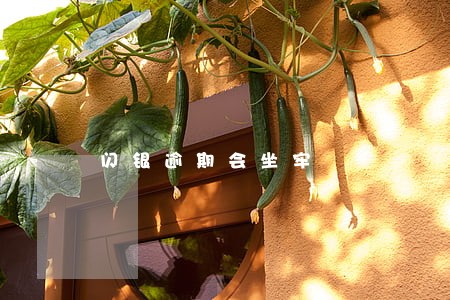 闪银逾期会坐牢 闪银逾期会坐牢