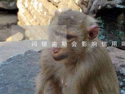 闪银逾期会影响信用吗 闪银逾期会影响信用吗