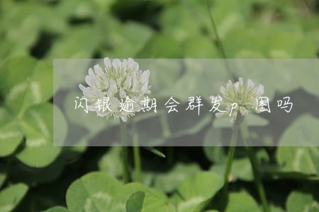 闪银逾期会群发p图吗 闪银逾期会群发p图吗