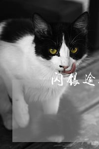 闪银逾期催收会打电话吗