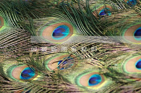 闪银逾期催收吗