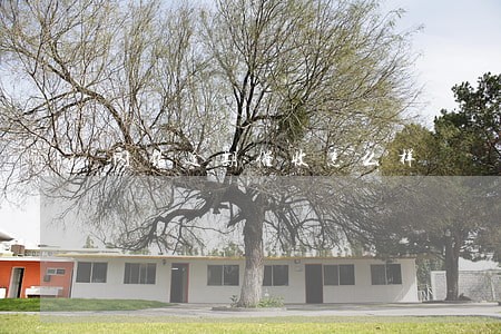 闪银逾期催收怎么样