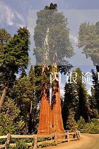 闪银逾期催收手段