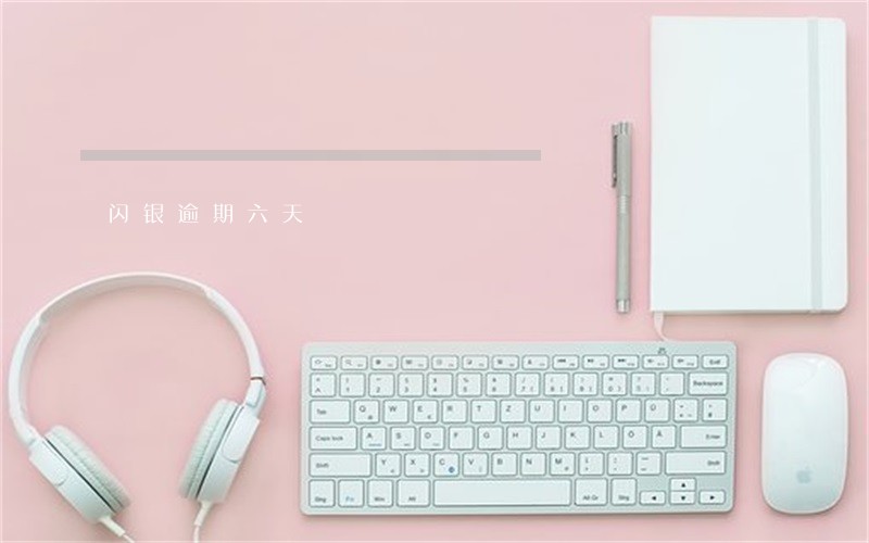 闪银逾期六天 闪银逾期六天