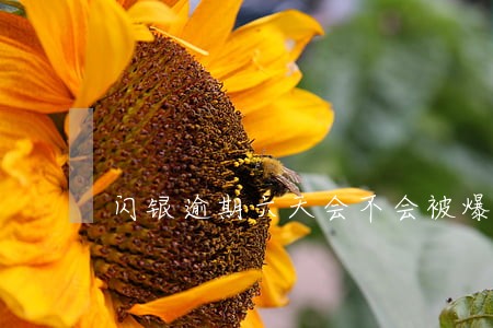 闪银逾期六天会不会被爆 闪银逾期六天会不会被爆