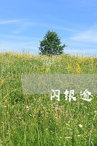 闪银逾期六天解封