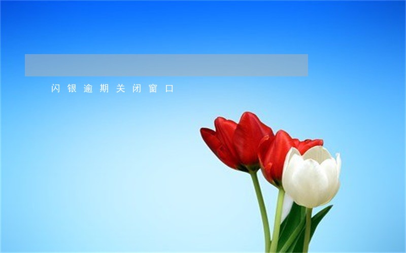 闪银逾期关闭窗口 闪银逾期关闭窗口