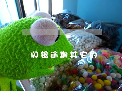 闪银逾期其它的 闪银逾期其它的
