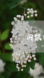 闪银逾期冻结多久更新