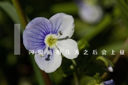 闪银逾期几天之后会上征信 闪银逾期几天之后会上征信