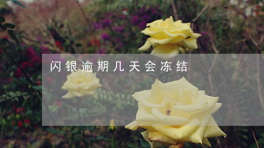 闪银逾期几天会冻结