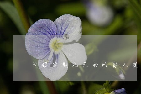 闪银逾期几天会给家人发短信