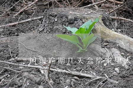 闪银逾期几天会给家里人电话