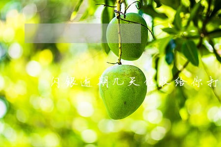 闪银逾期几天催收给你打电话 闪银逾期几天催收给你打电话