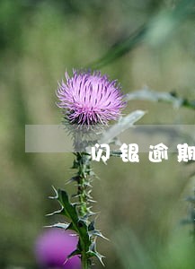 闪银逾期几天可以吗 闪银逾期几天可以吗