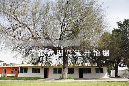 闪银逾期几天开始爆 闪银逾期几天开始爆