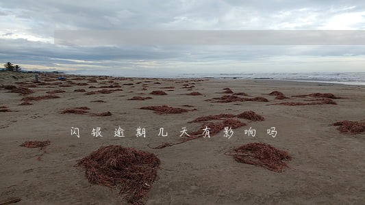 闪银逾期几天有影响吗 闪银逾期几天有影响吗