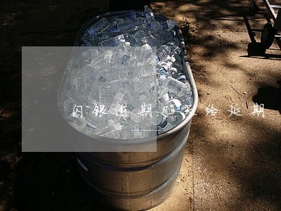 闪银逾期几天给延期