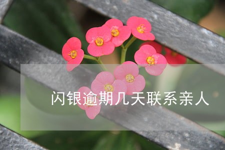 闪银逾期几天联系亲人 闪银逾期几天联系亲人