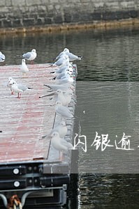 闪银逾期几次会被冻结 闪银逾期几次会被冻结