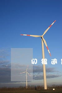 闪银逾期利息一年是30块是什么