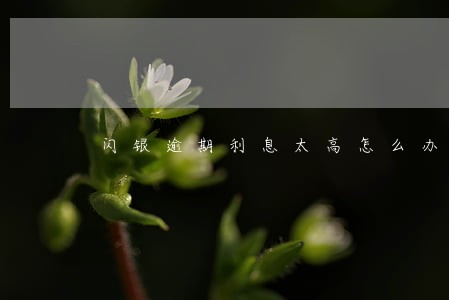 闪银逾期利息太高怎么办 闪银逾期利息太高怎么办
