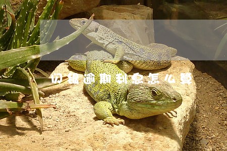 闪银逾期利息怎么算 闪银逾期利息怎么算
